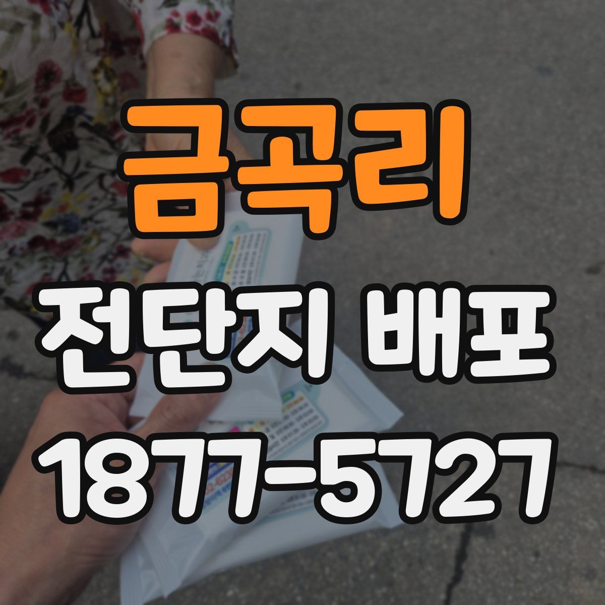 금곡리 전단지 배포