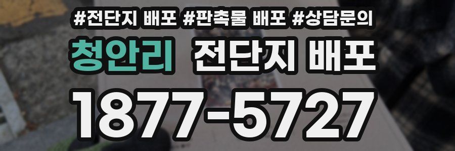 청안리 전단지 배포