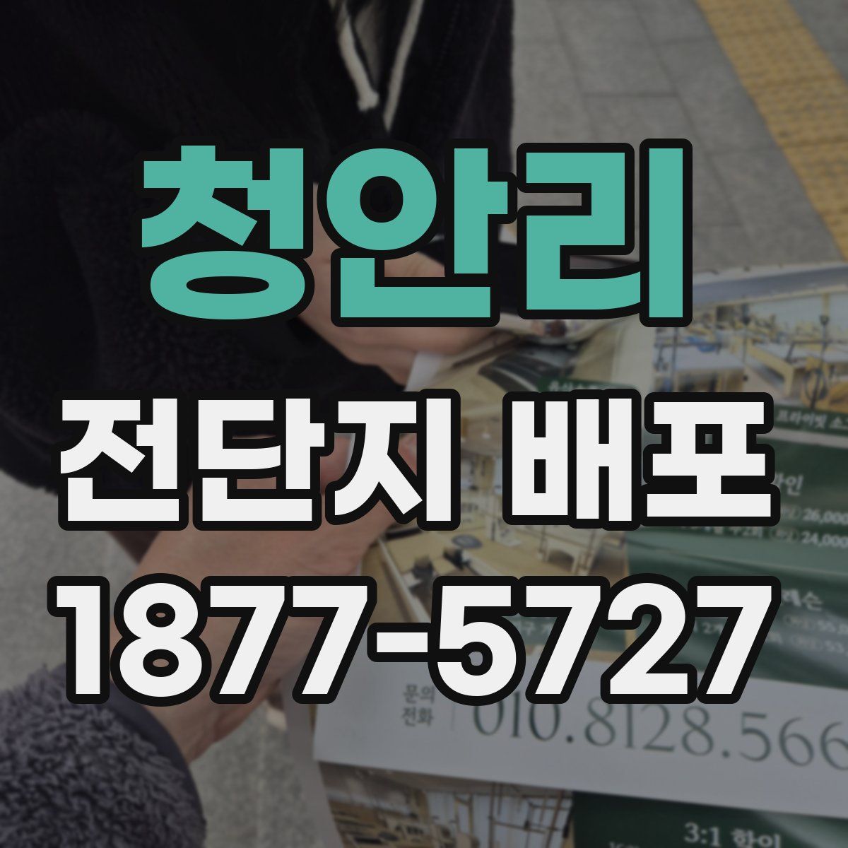 청안리 전단지 배포