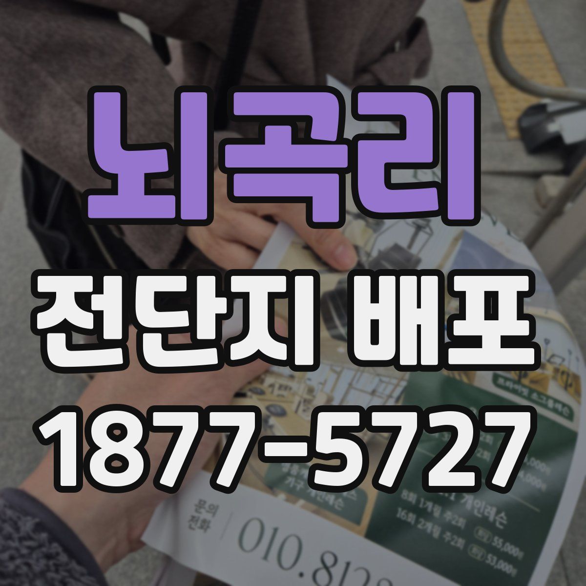 뇌곡리 전단지 배포