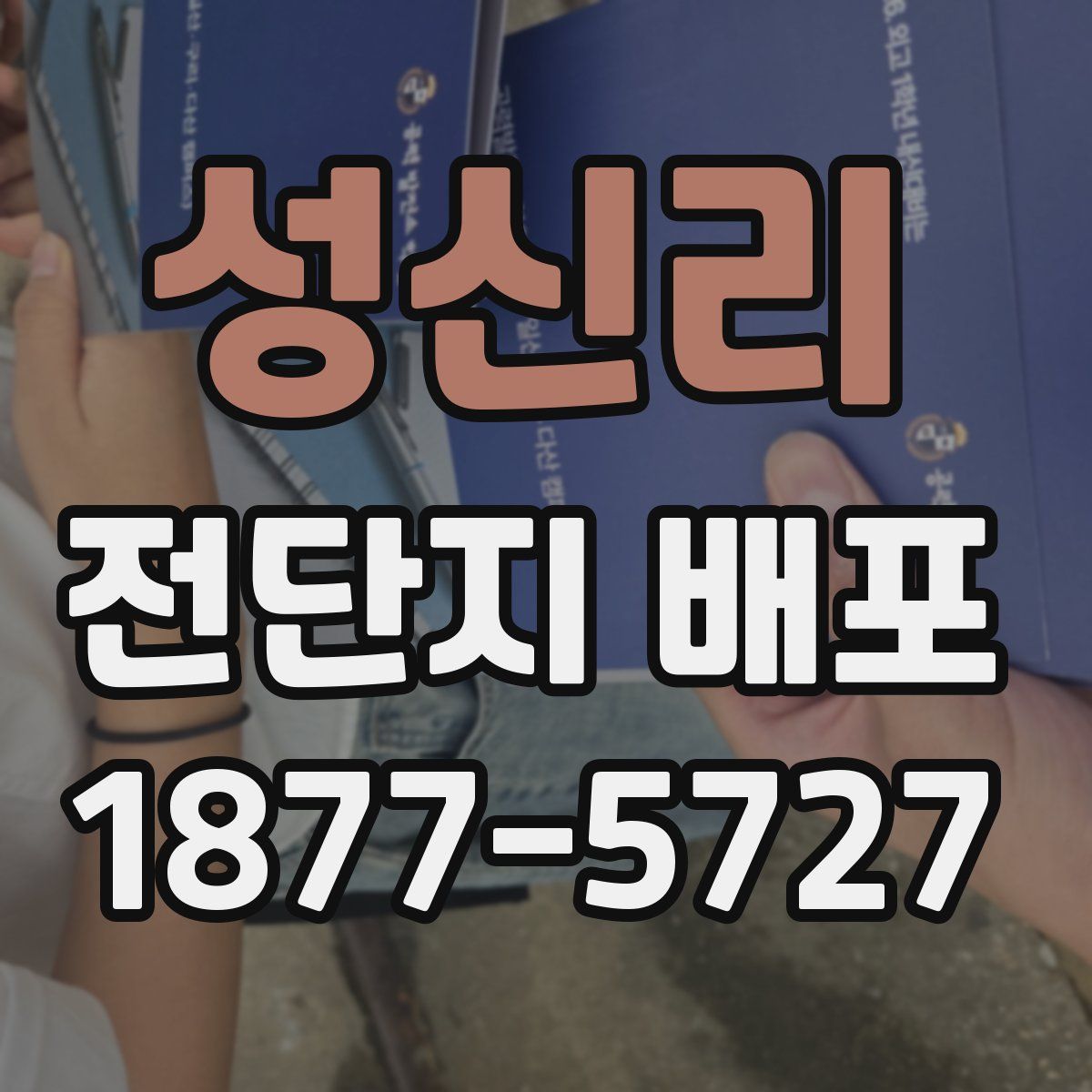 성신리 전단지 배포