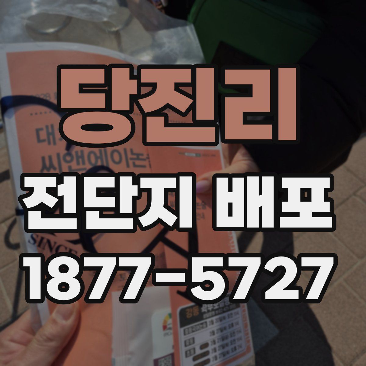 당진리 전단지 배포