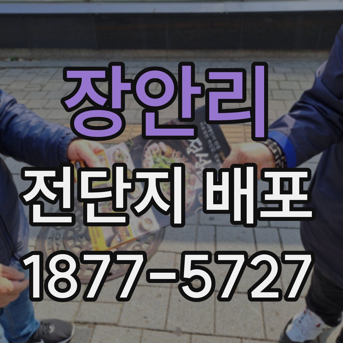 장안리 전단지 배포