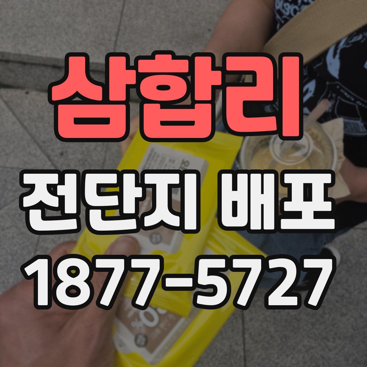 삼합리 전단지 배포
