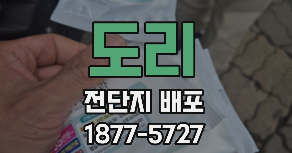 도리 전단지 배포