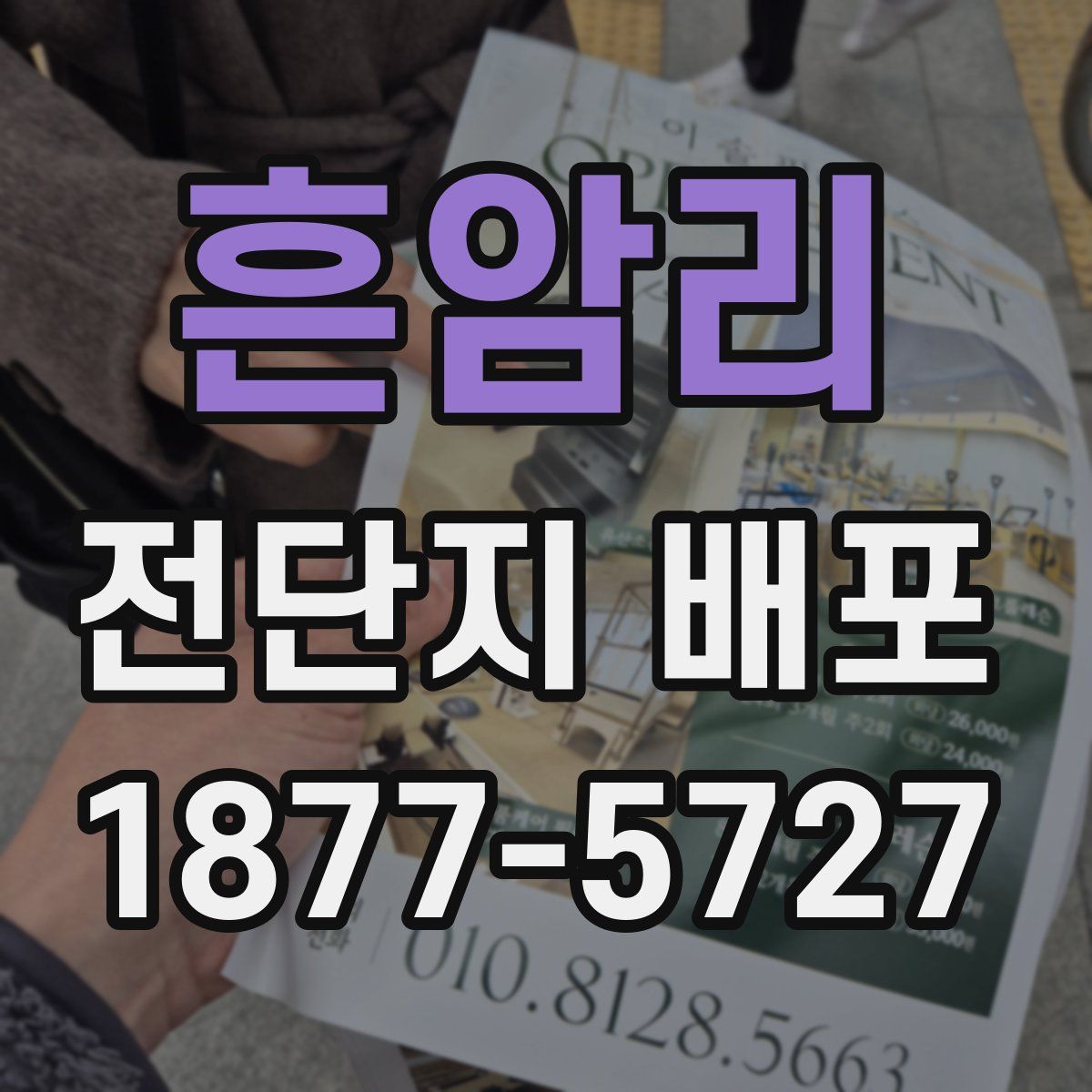흔암리 전단지 배포
