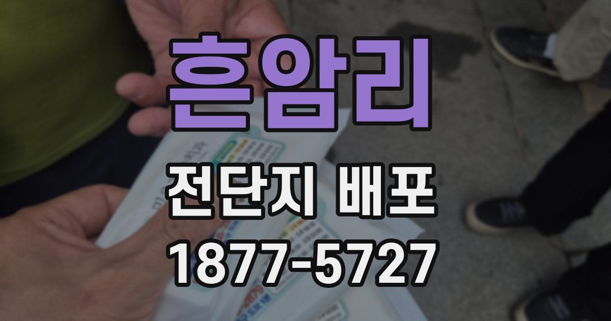 흔암리 전단지 배포