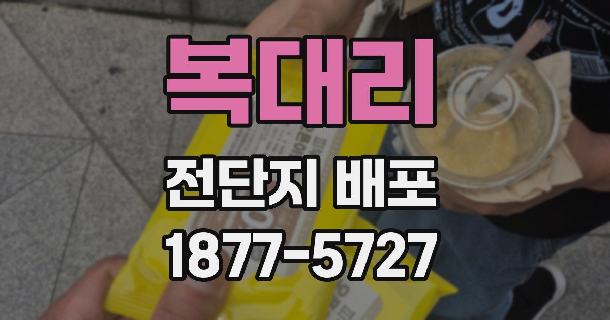 복대리 전단지 배포