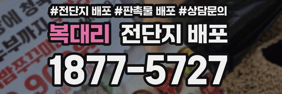 복대리 전단지 배포