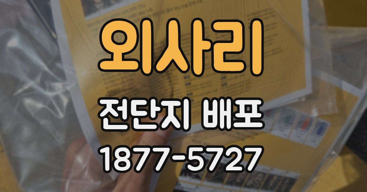외사리 전단지 배포