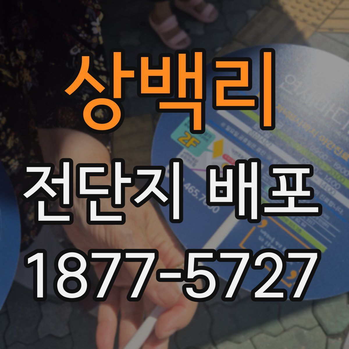 상백리 전단지 배포