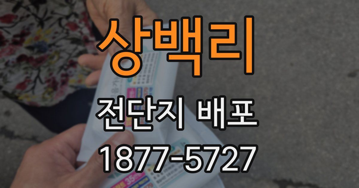 상백리 전단지 배포
