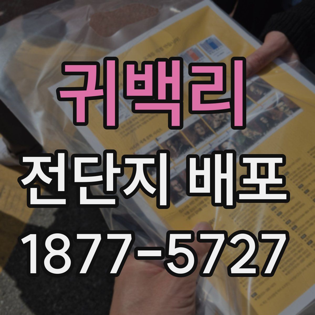 귀백리 전단지 배포