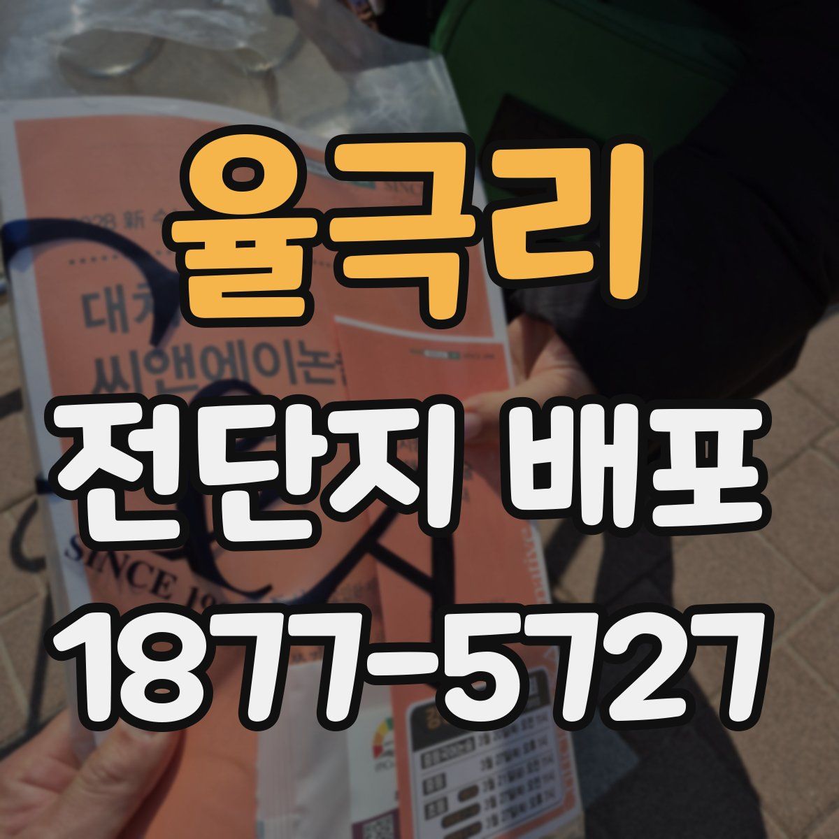 율극리 전단지 배포