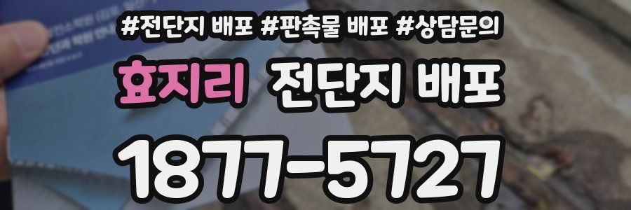 효지리 전단지 배포