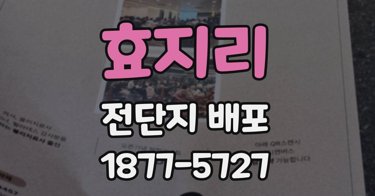 효지리 전단지 배포
