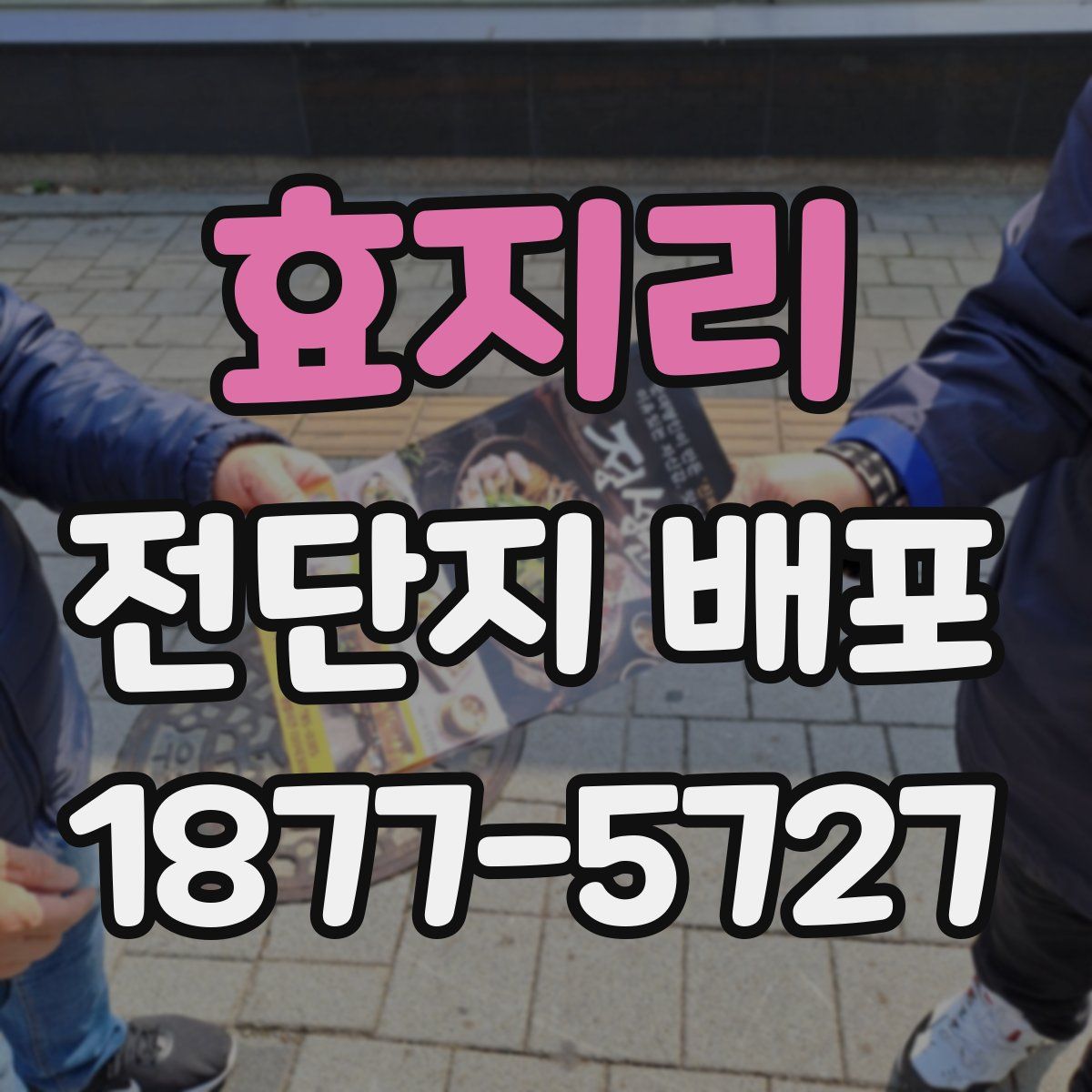 효지리 전단지 배포