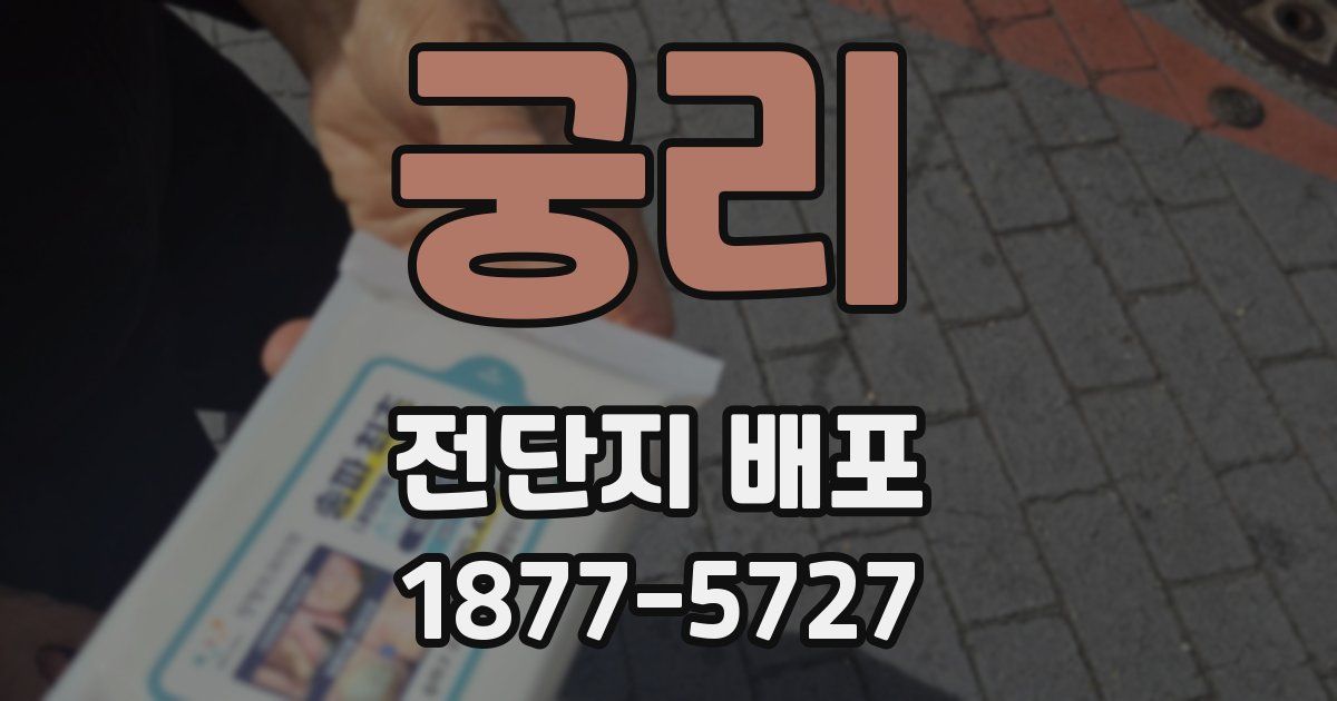 궁리 전단지 배포