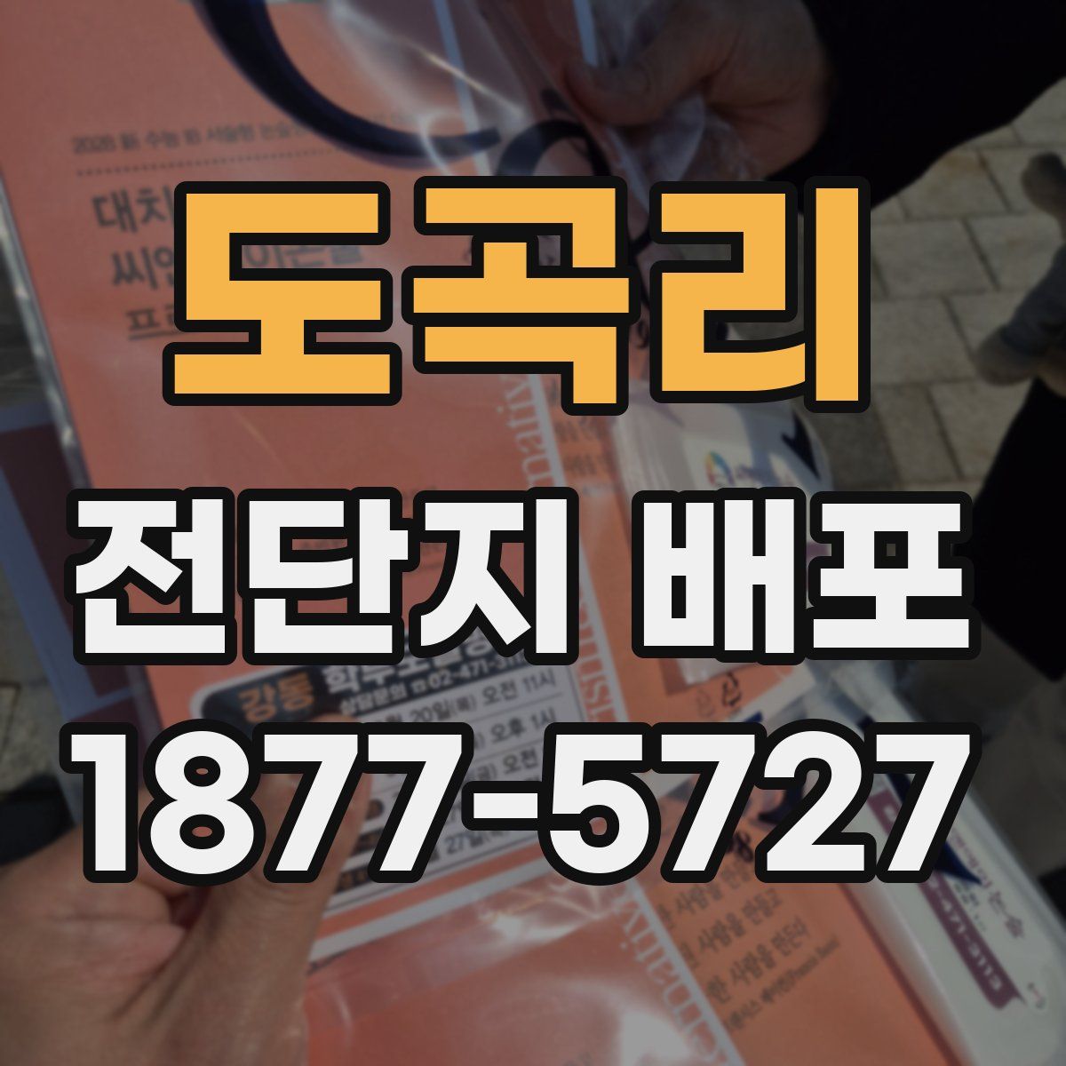 도곡리 전단지 배포