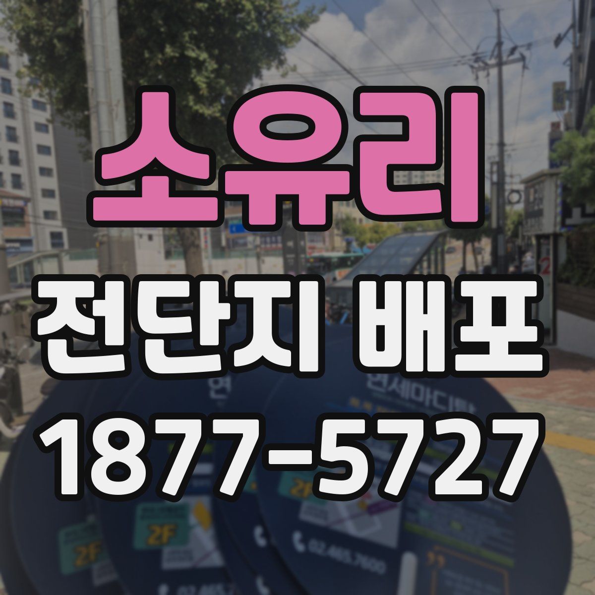소유리 전단지 배포