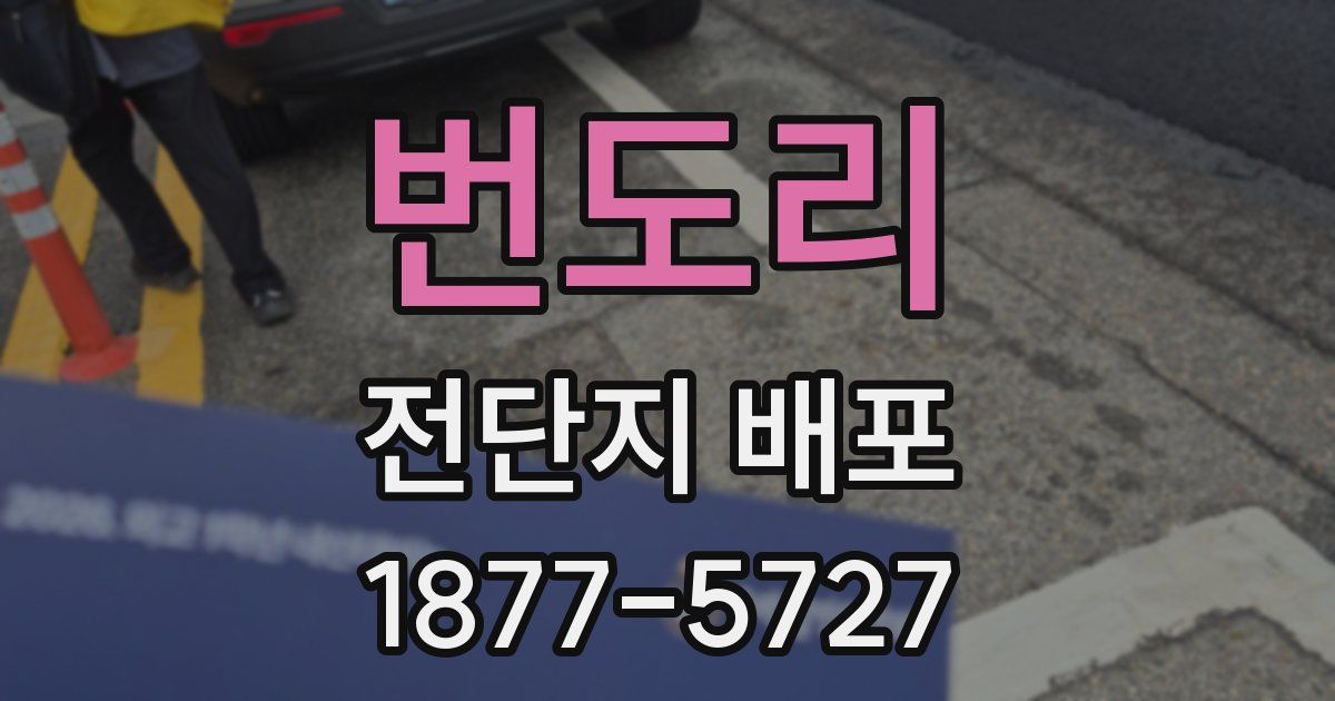 번도리 전단지 배포