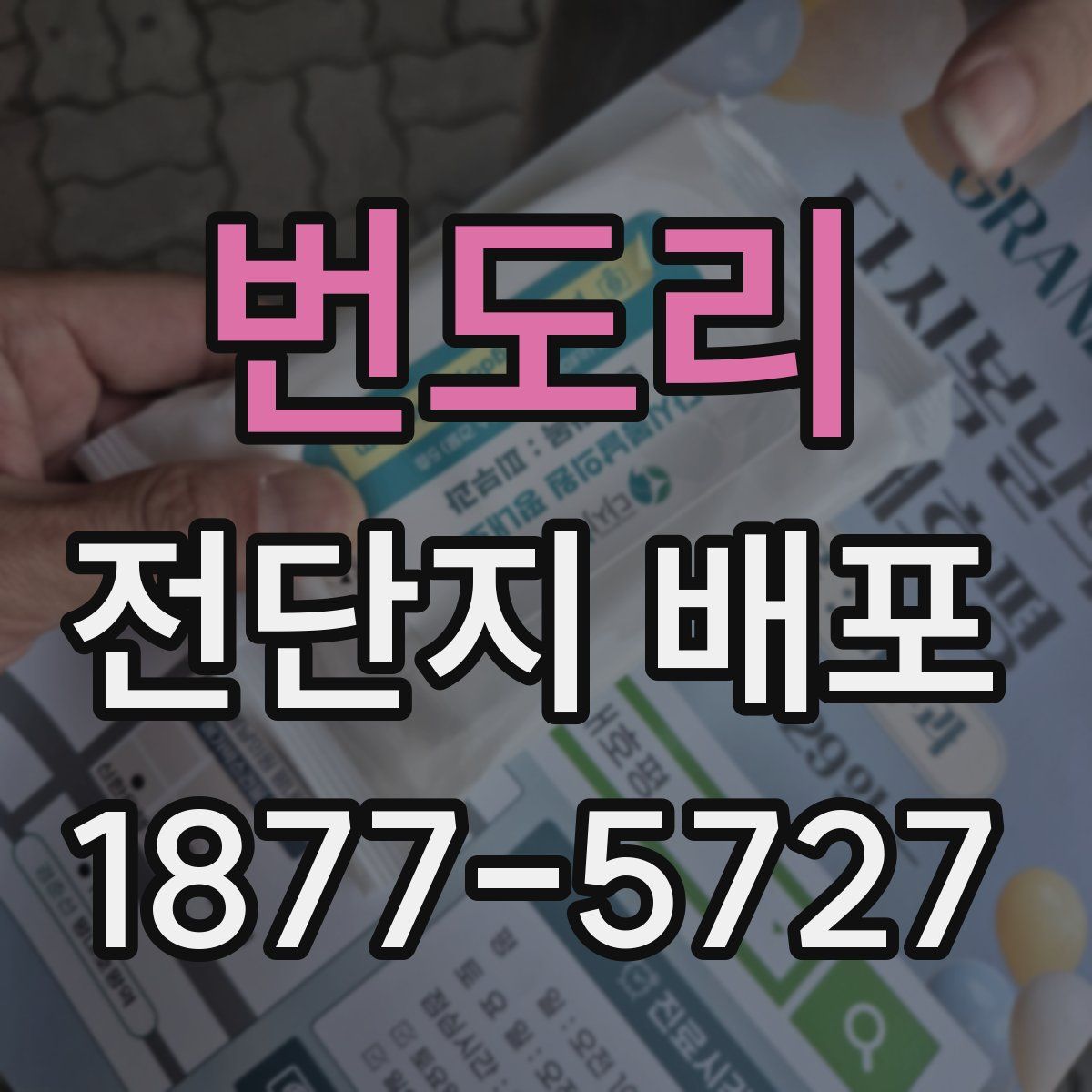 번도리 전단지 배포