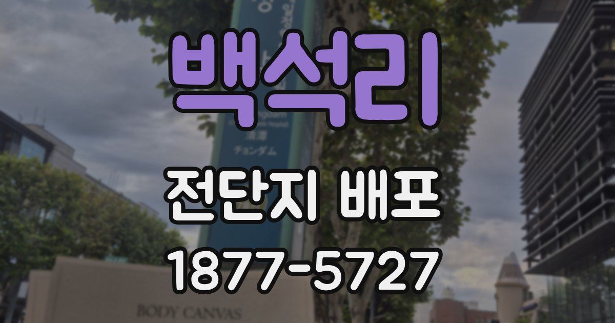 백석리 전단지 배포