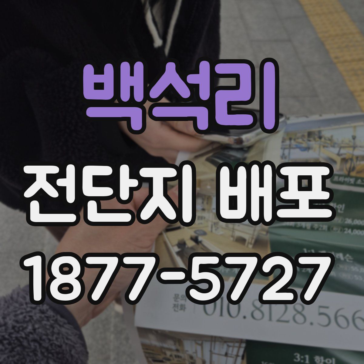 백석리 전단지 배포