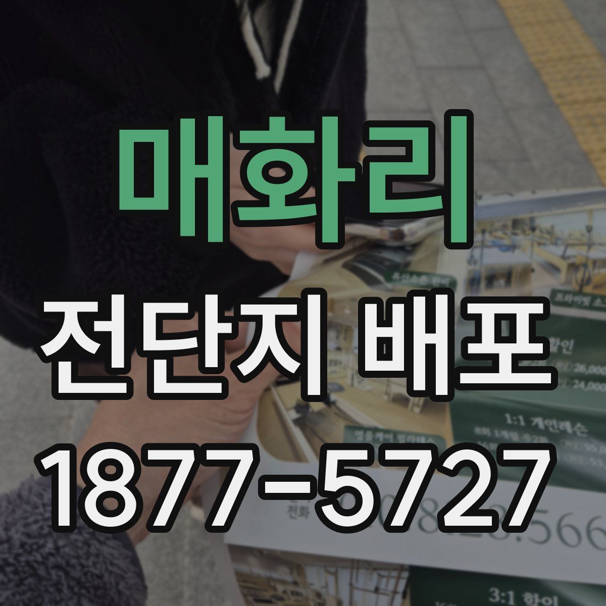 매화리 전단지 배포