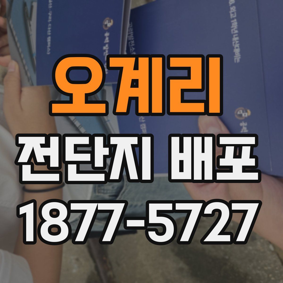 오계리 전단지 배포