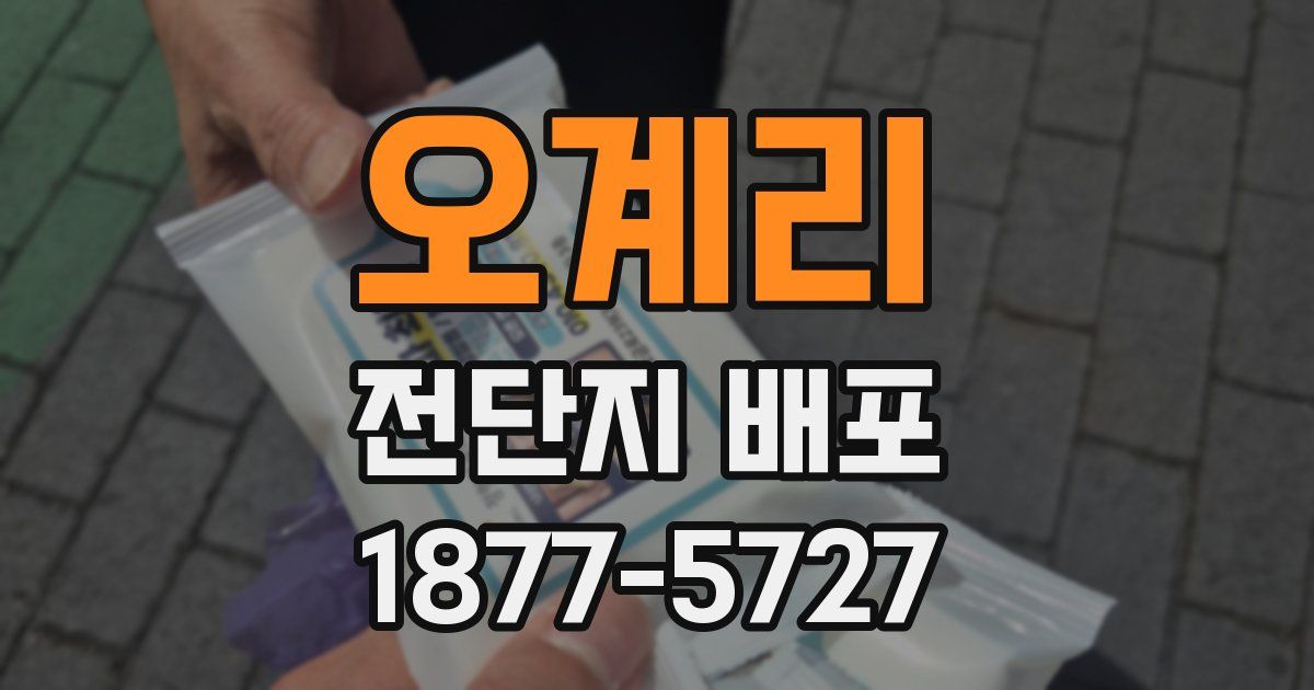오계리 전단지 배포
