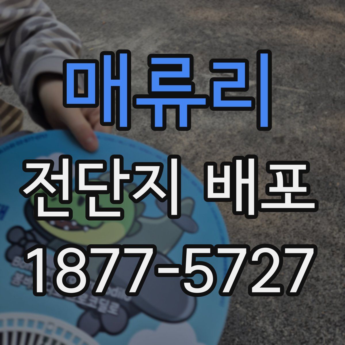 매류리 전단지 배포