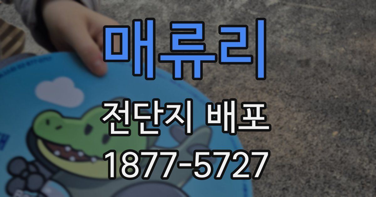 매류리 전단지 배포
