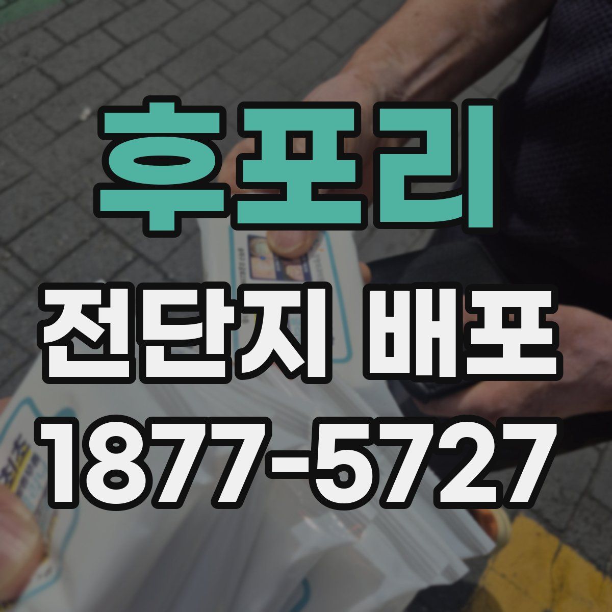 후포리 전단지 배포