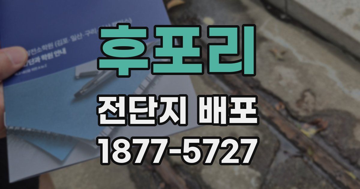 후포리 전단지 배포