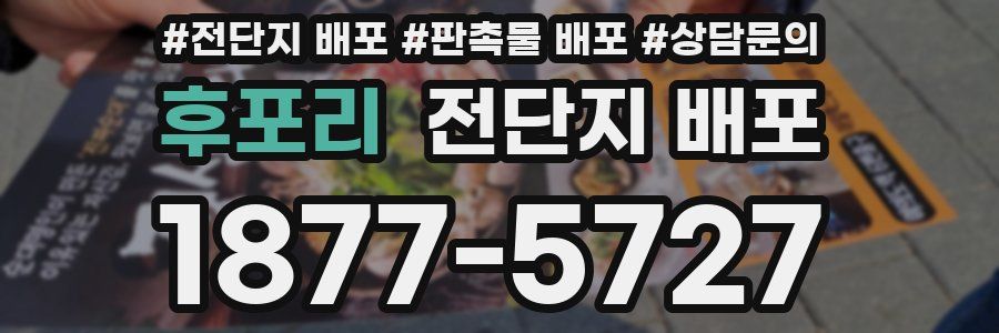 후포리 전단지 배포