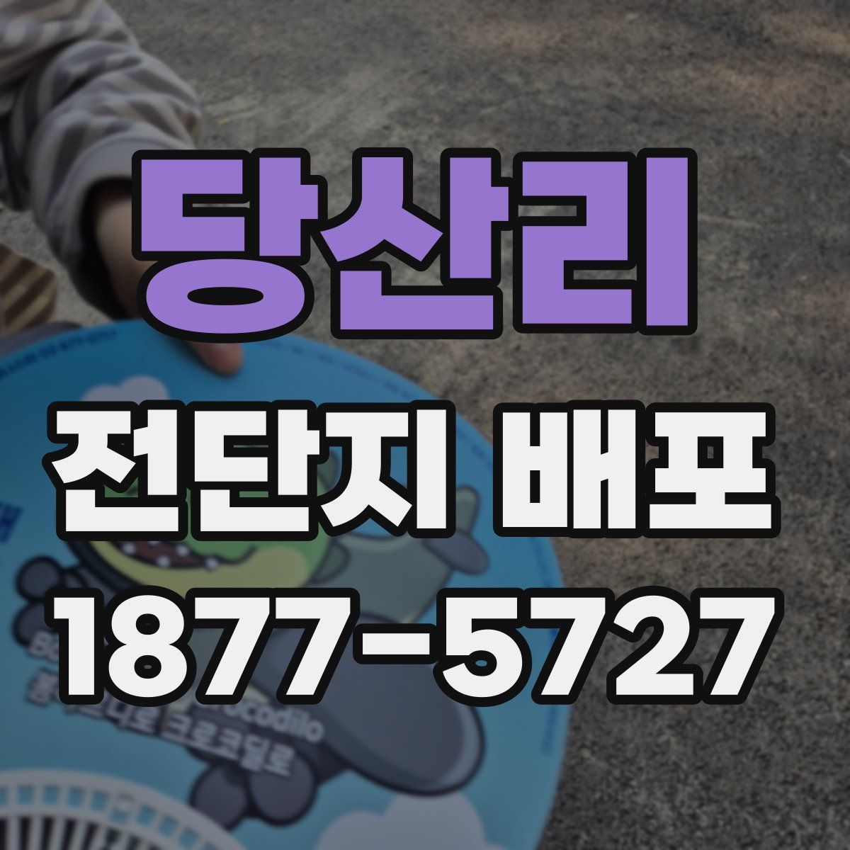 당산리 전단지 배포