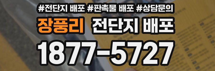 장풍리 전단지 배포