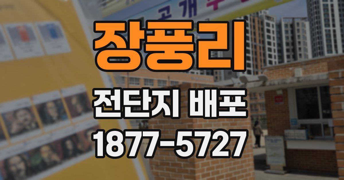 장풍리 전단지 배포