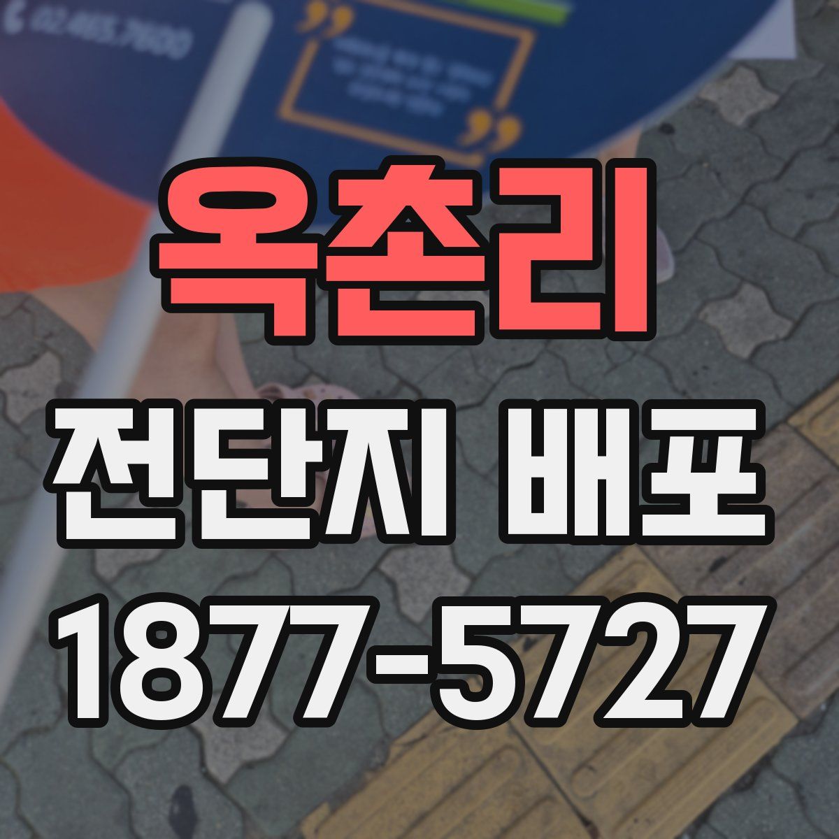 옥촌리 전단지 배포