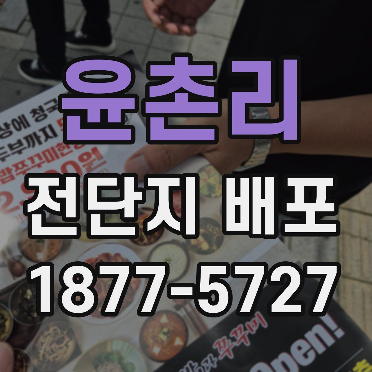 윤촌리 전단지 배포