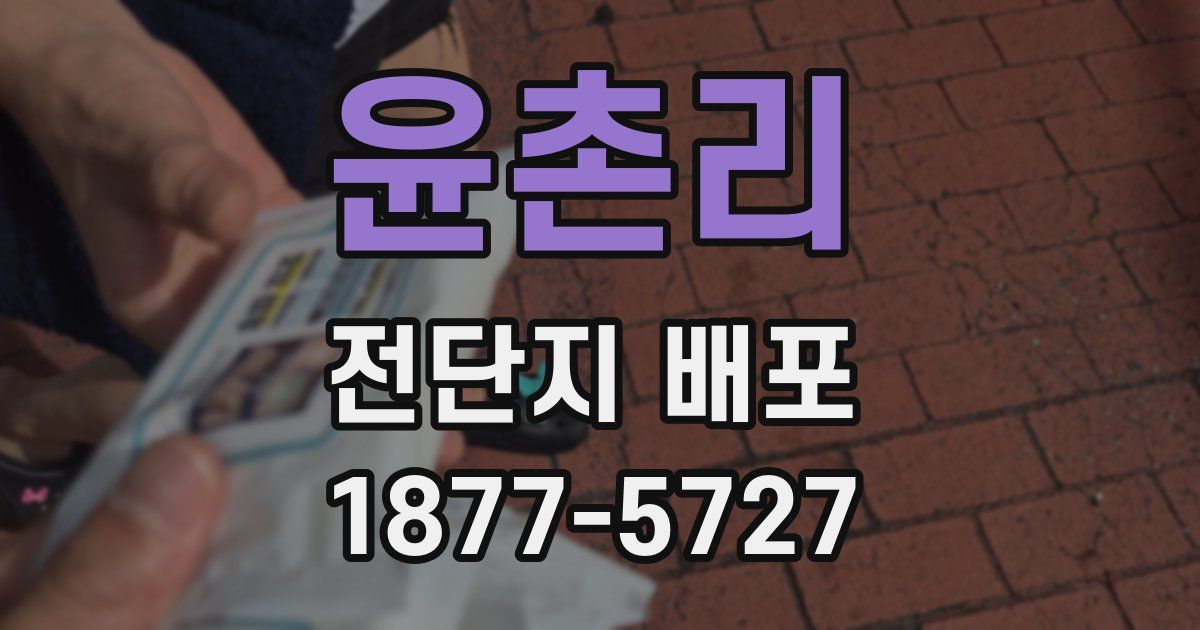 윤촌리 전단지 배포