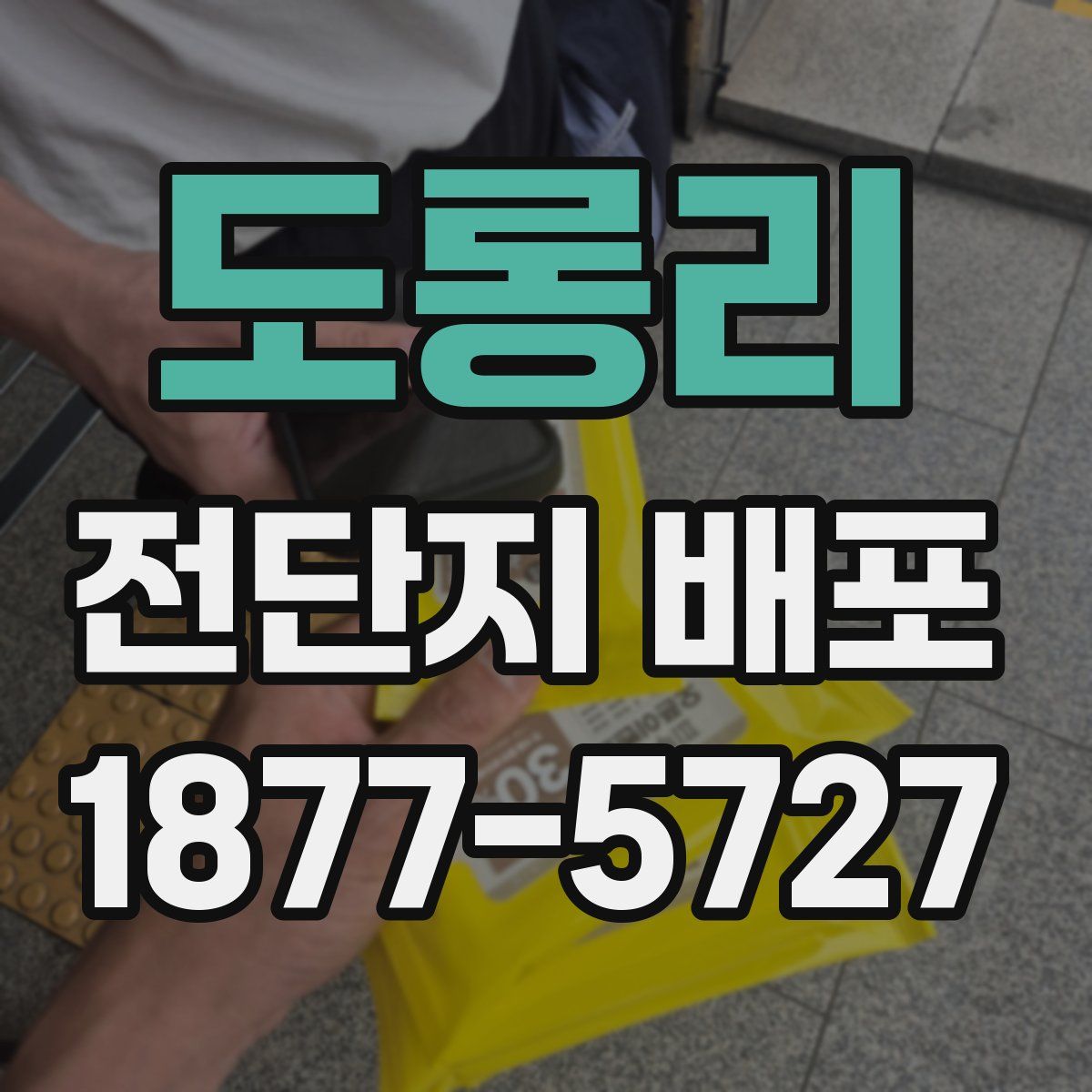 도롱리 전단지 배포