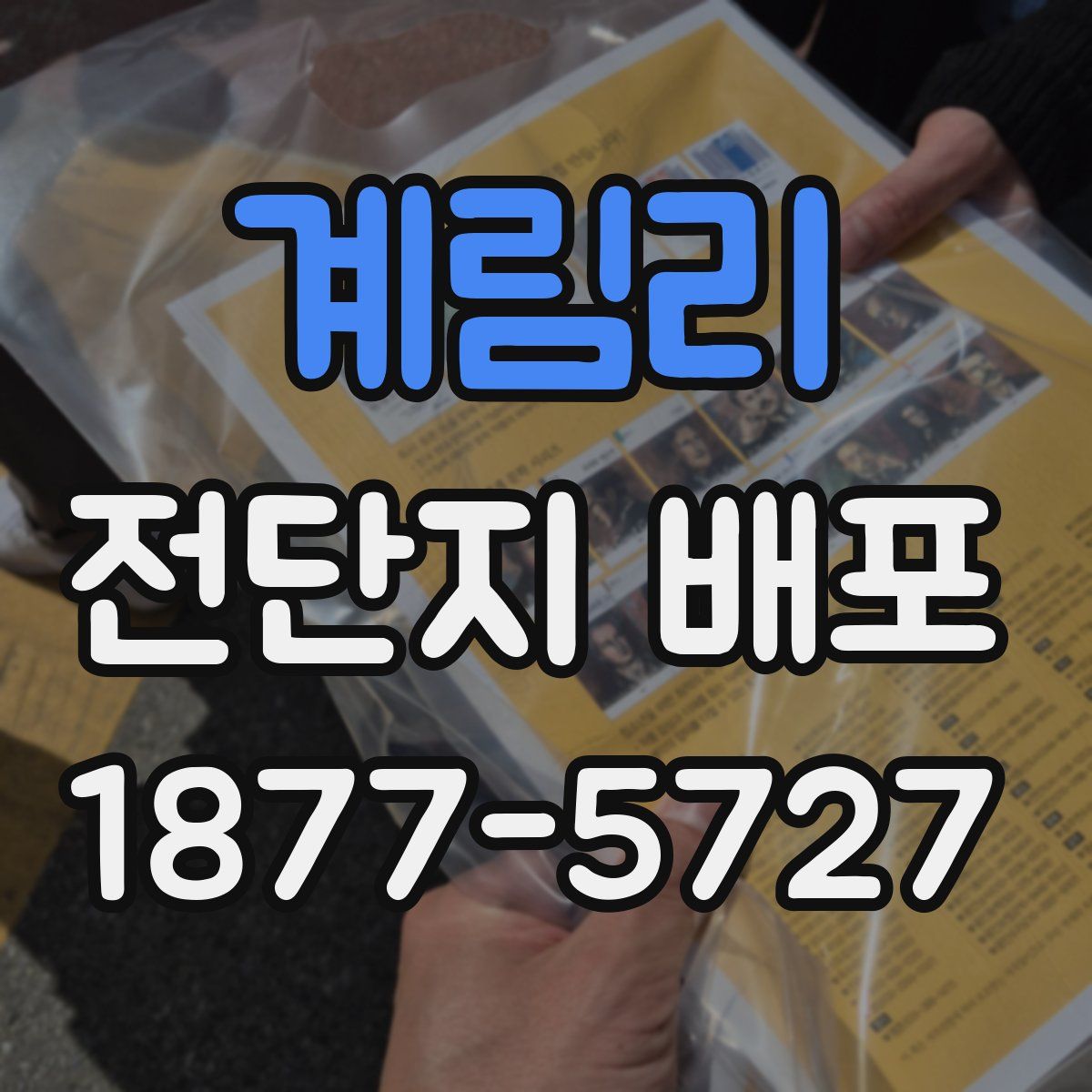 계림리 전단지 배포