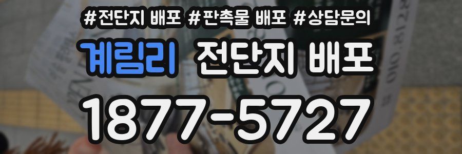 계림리 전단지 배포