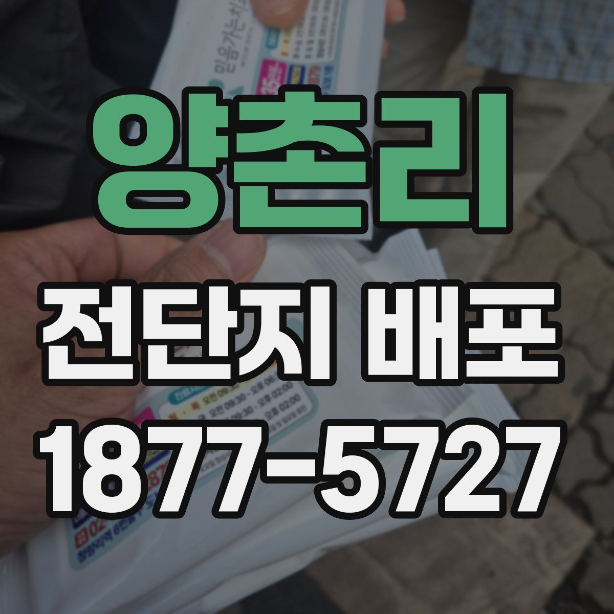 양촌리 전단지 배포