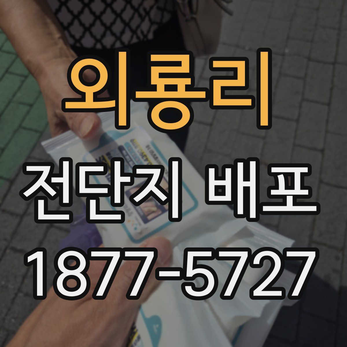 외룡리 전단지 배포