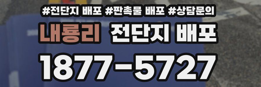 내룡리 전단지 배포