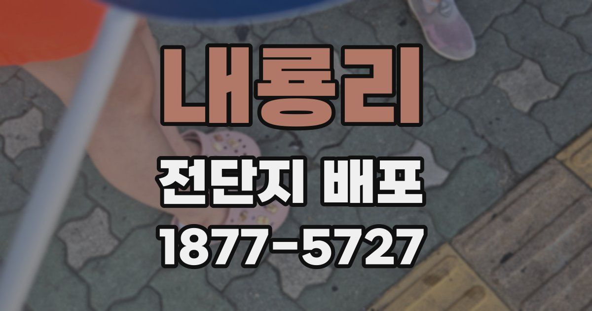 내룡리 전단지 배포
