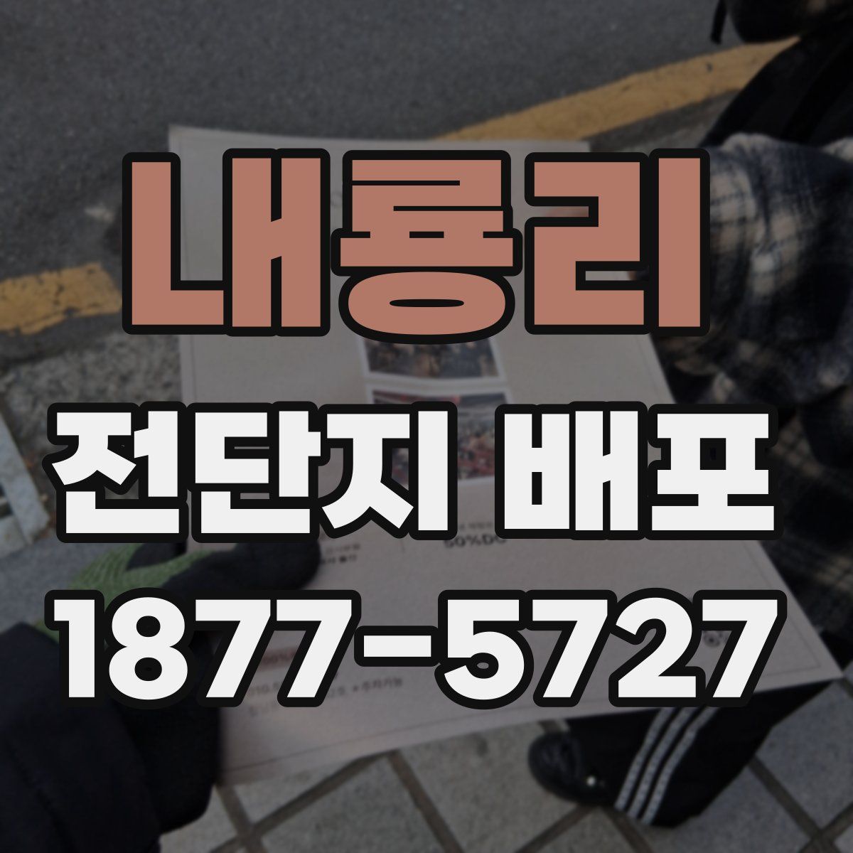 내룡리 전단지 배포